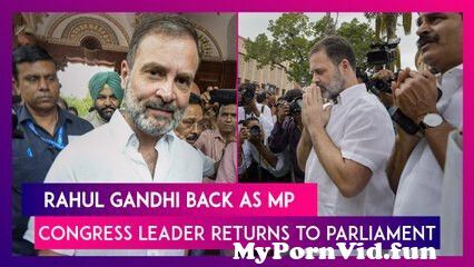 Rahul Gandhi Back As MP: Congress Leader's Lok Sabha Membership ...