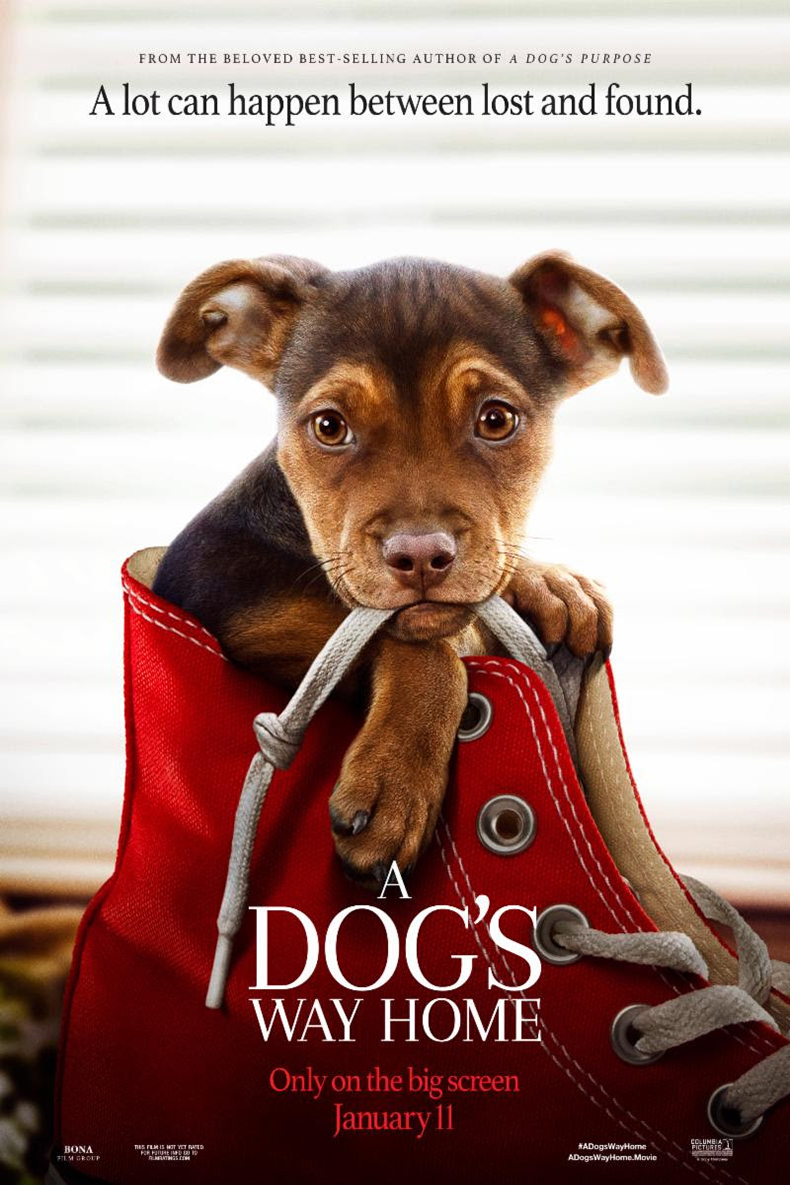 A Dog's Way Home (2019) - IMDb