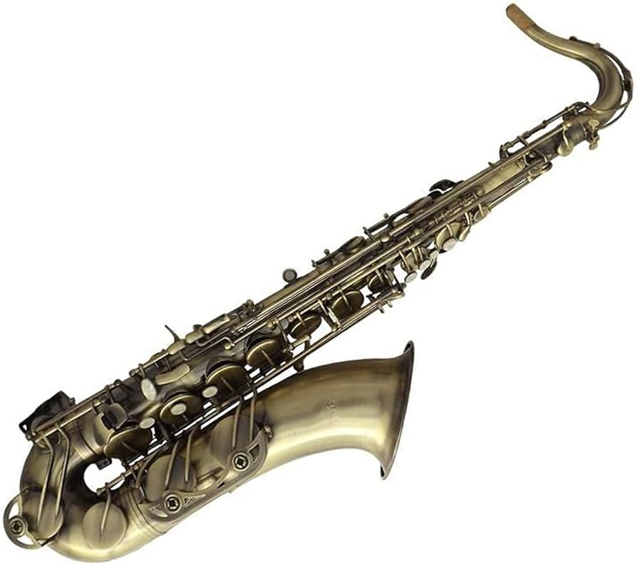 Amazon.com - Sax Antique B Flat Tenor Saxophone Instrument for ...