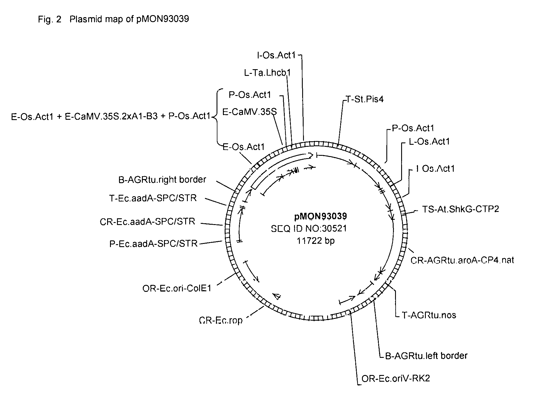 US20160230183A1 - Transgenic plants with enhanced agronomic traits ...