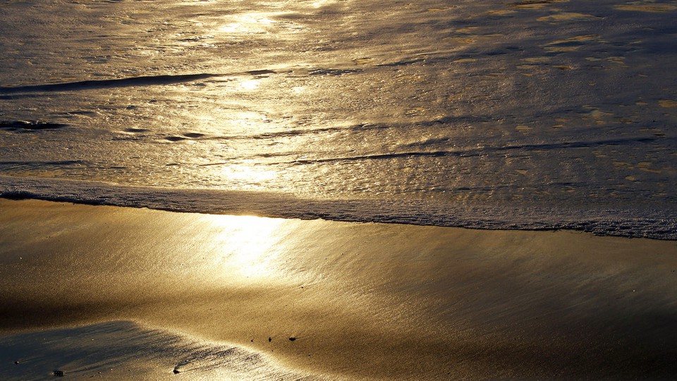 What's the Right Penalty for Having Sex on the Beach in Florida ...