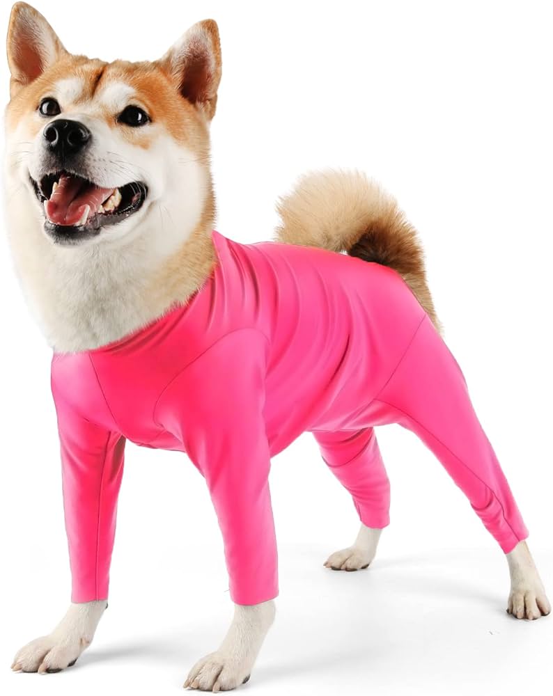 Amazon.com : Etdane Dog Onesie for After Surgery Pet Surgical ...