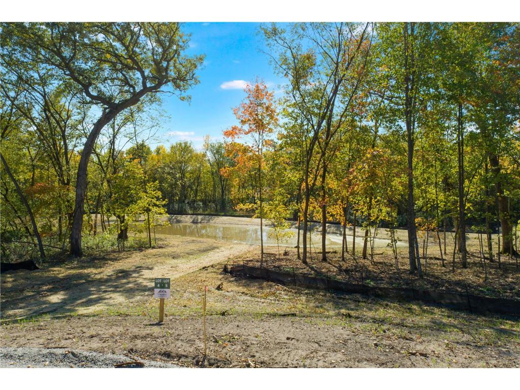 xxx Lot 5 118th Street SE, Franklin Twp, MN 55388 – Lindale Real ...