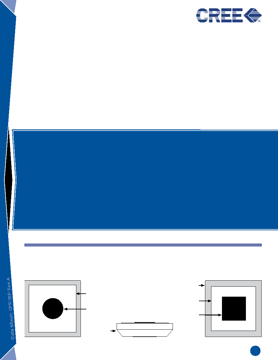 CXXXUT190-SXXXX-31 datasheet(1/6 Pages) CREE | Small Chip 190 x ...