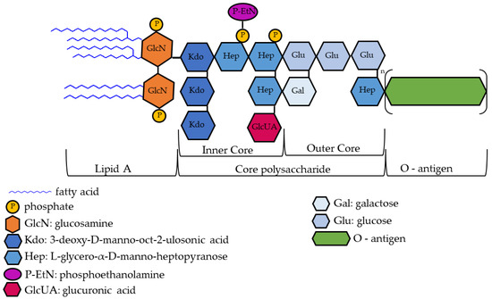 IJMS | Free Full-Text | Environmental Enrichment Protects against ...