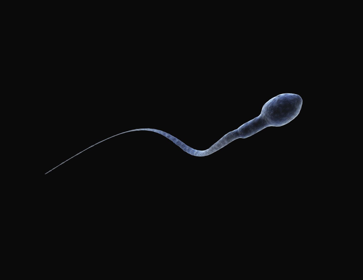 9 Things You Didn't Know About Sperm