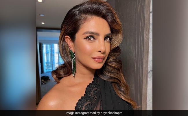 Priyanka Chopra Reacts To Conspiracy Theory About Her Being A ...