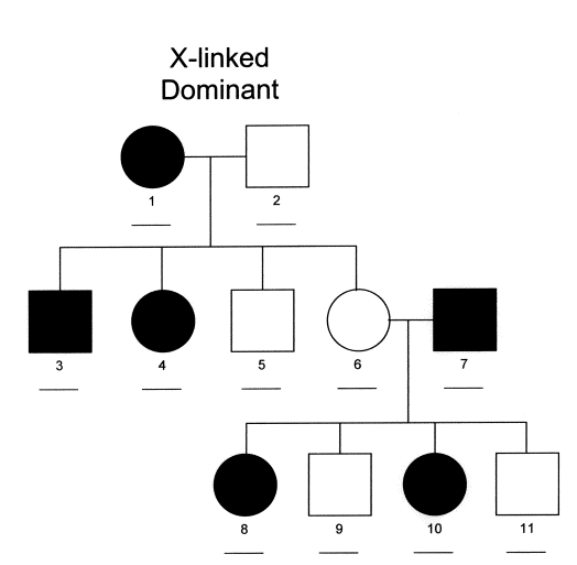 Sex(X)-linked Dominant Inheritance – Michigan Genetics Resource Center