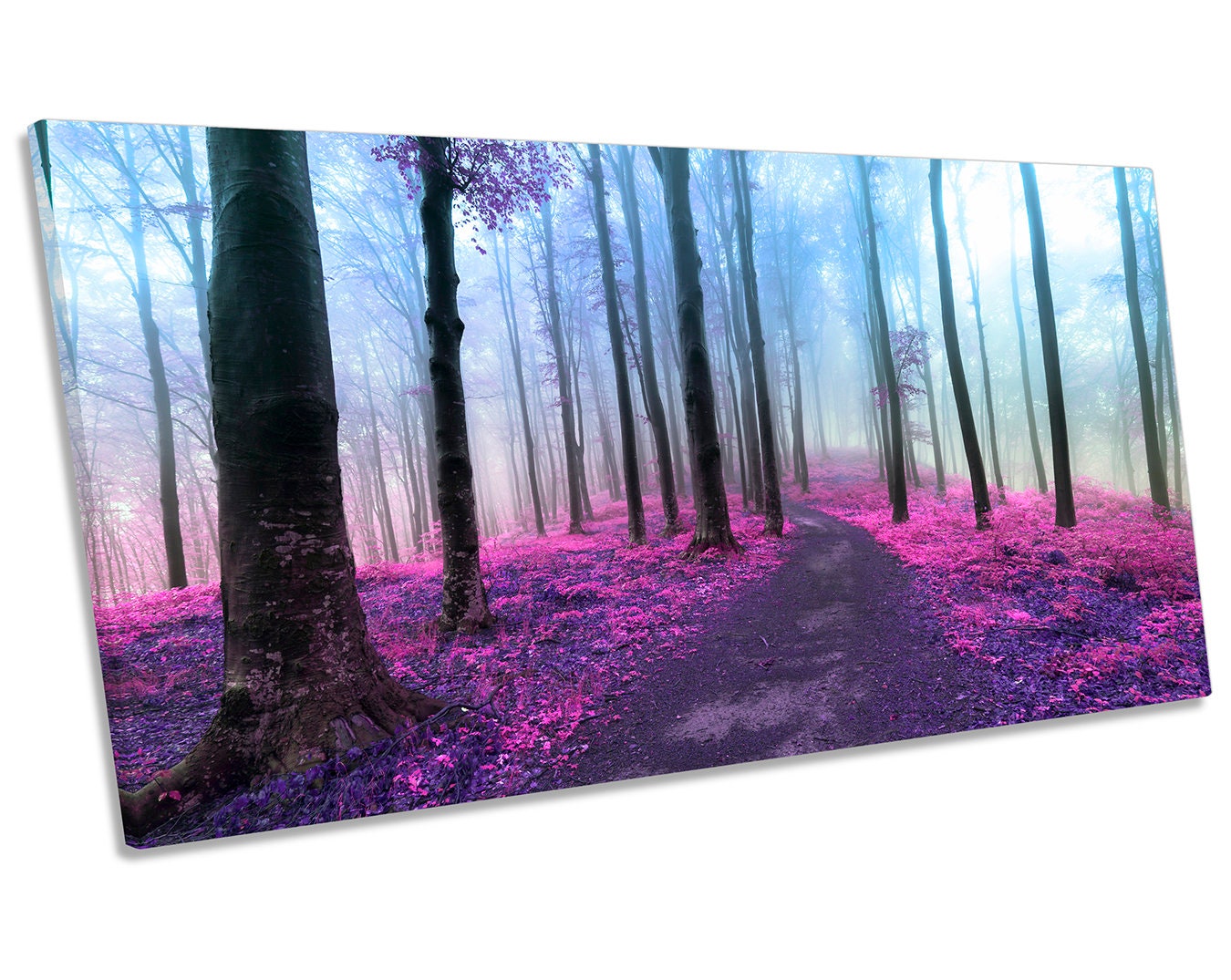 Buy Purple Forest Misty CANVAS ART Print Panoramic Picture Online ...