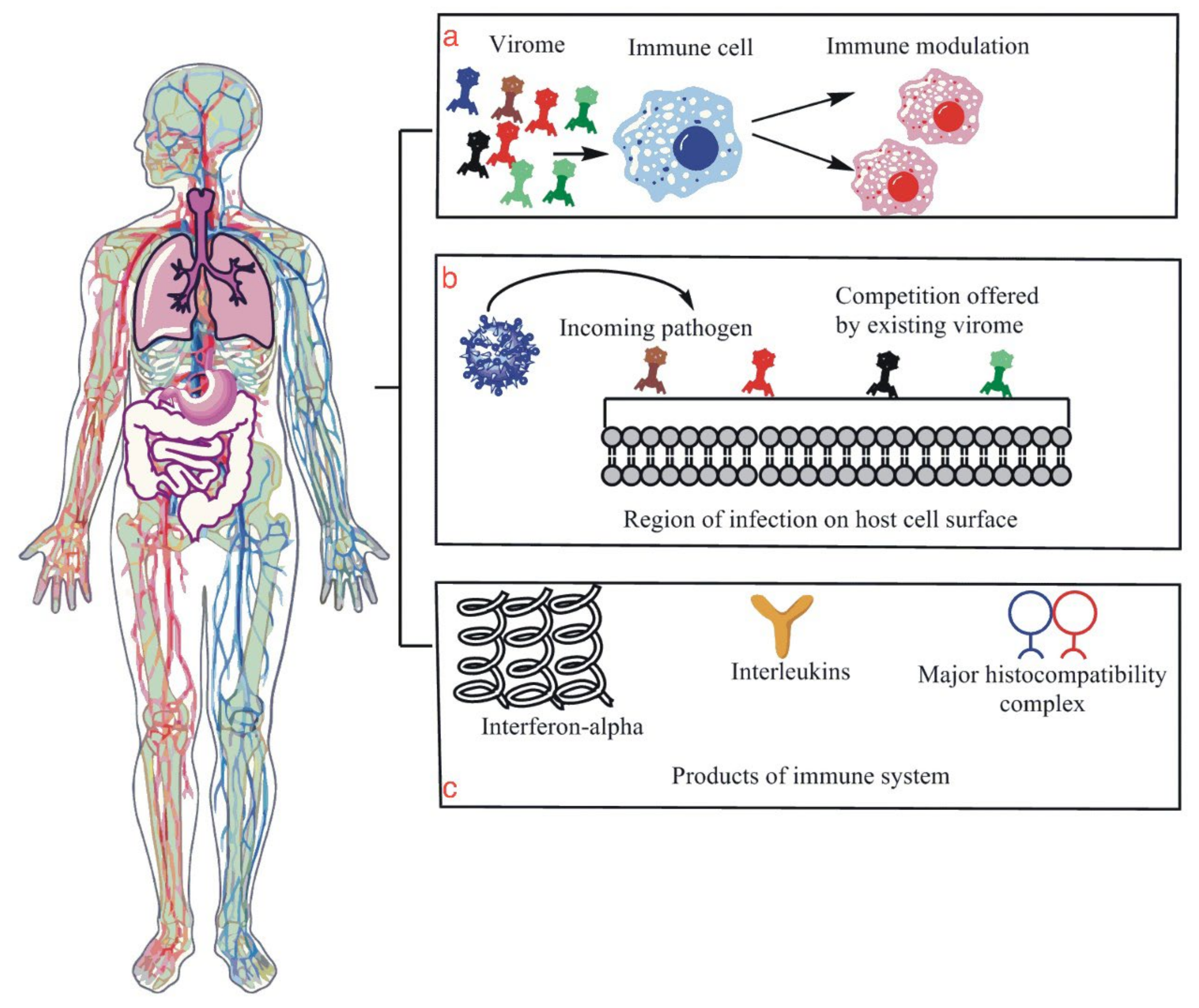 Vaccines | Free Full-Text | COVID-19: The Ethno-Geographic ...