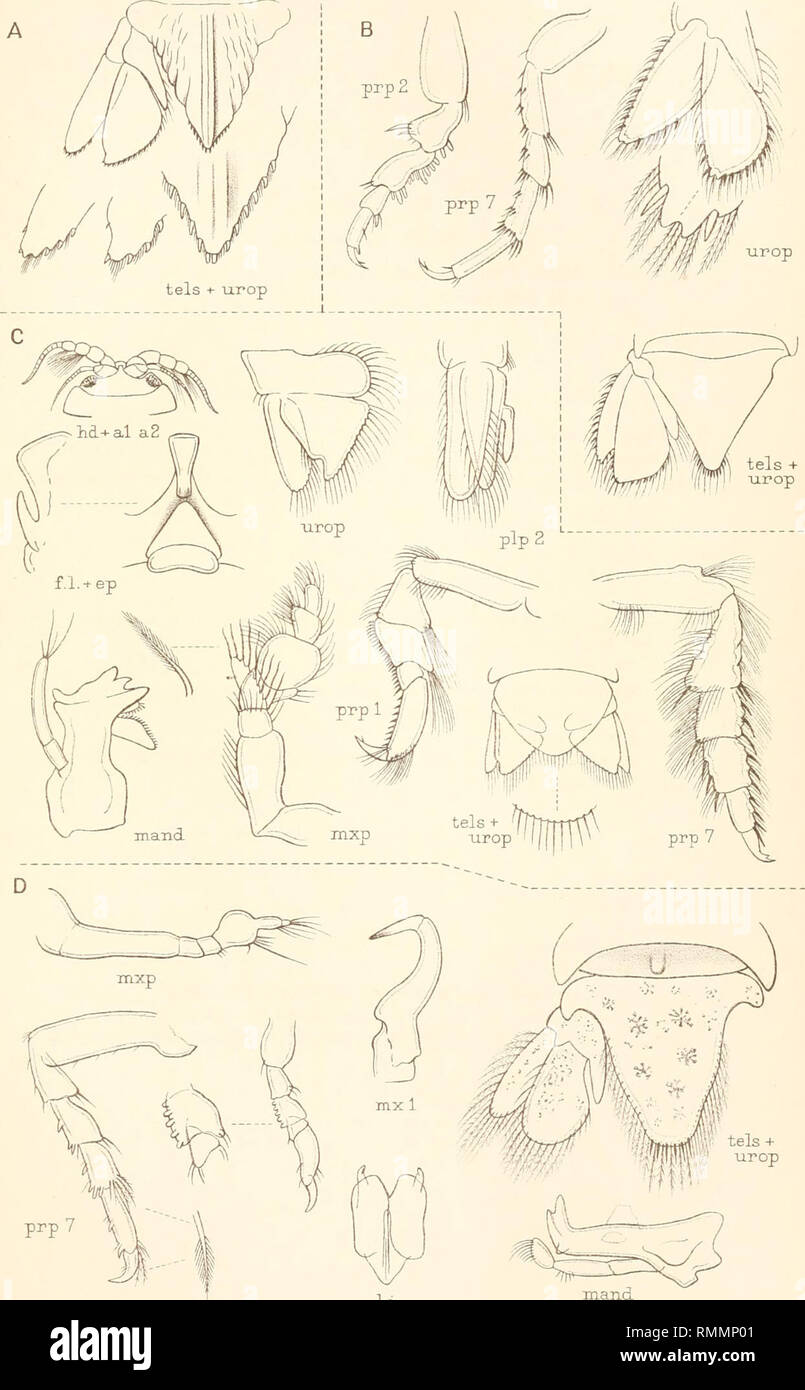 Annals of the South African Museum. Annale van die Suid-Afrikaanse ...