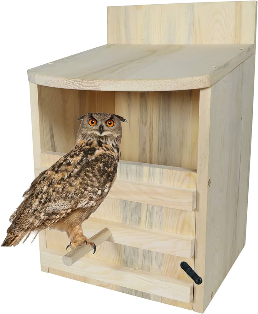 Amazon.com: Big Owl House,Screech Owl House,Owl Nesting Box Owl ...