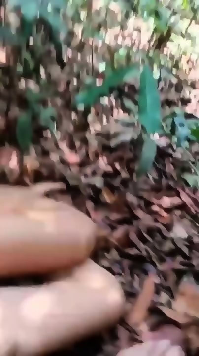 Sejoli ABG Asyik Ngentot Di Kebun Video Viral - EPORNER