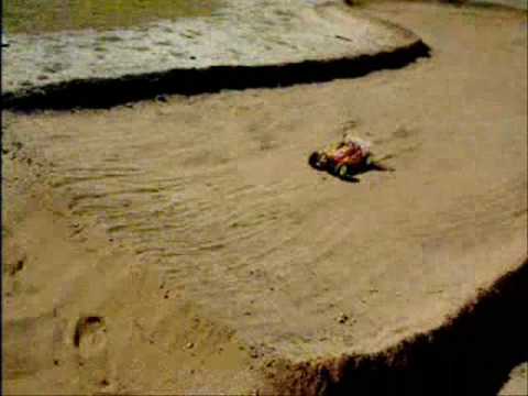 losi xxx4g - YouTube