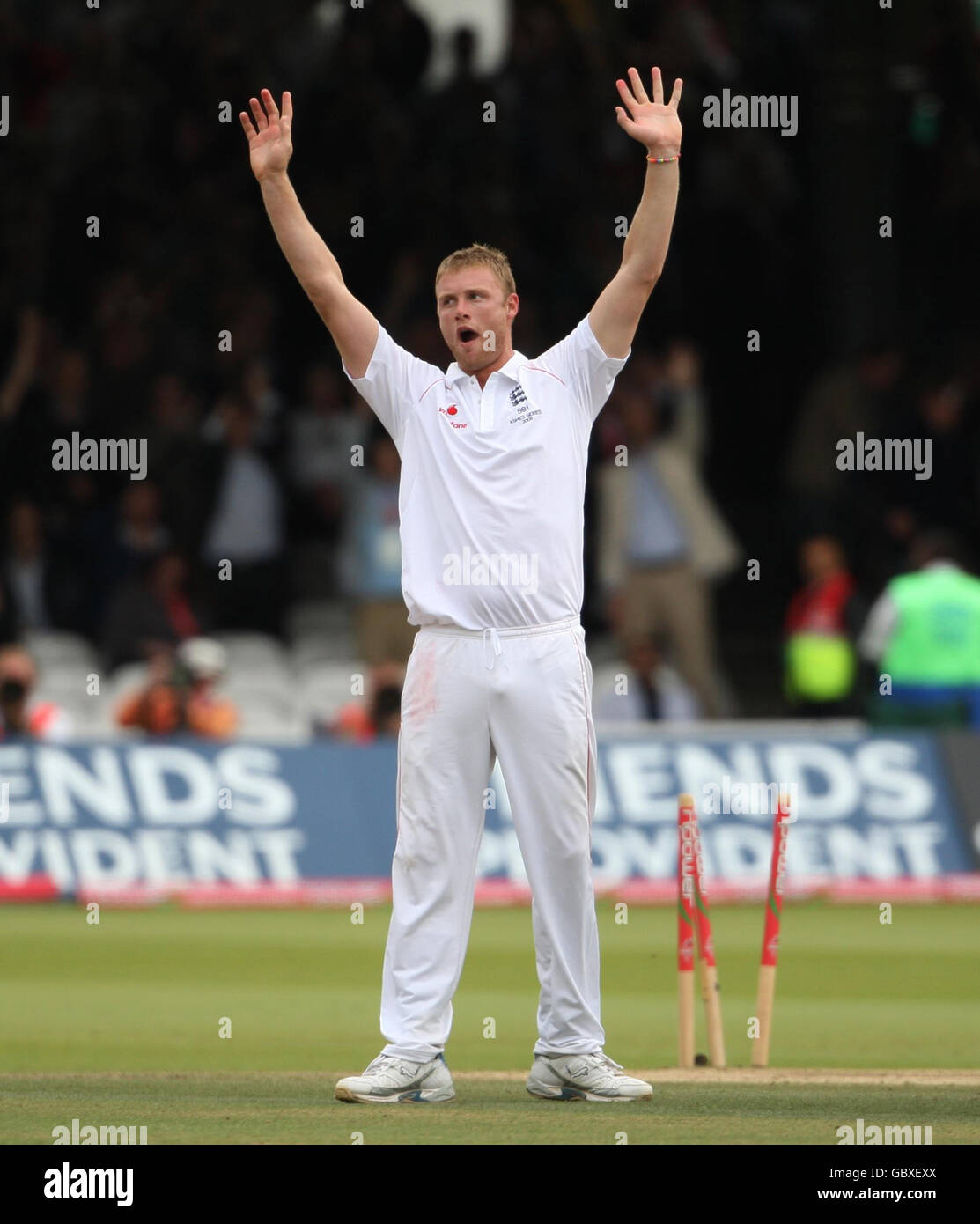 Sport cricket arms raised happy andrew flintoff hi-res stock ...