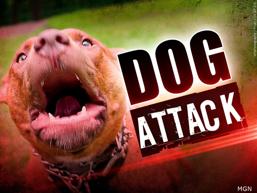 65-year-old man killed after being attacked by dogs - WVUA 23