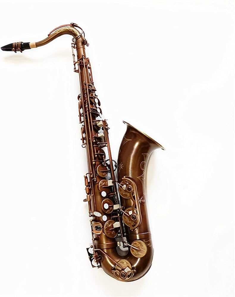 Amazon.com - Professional Saxophone B Flat Tenor Saxophone/Wind ...