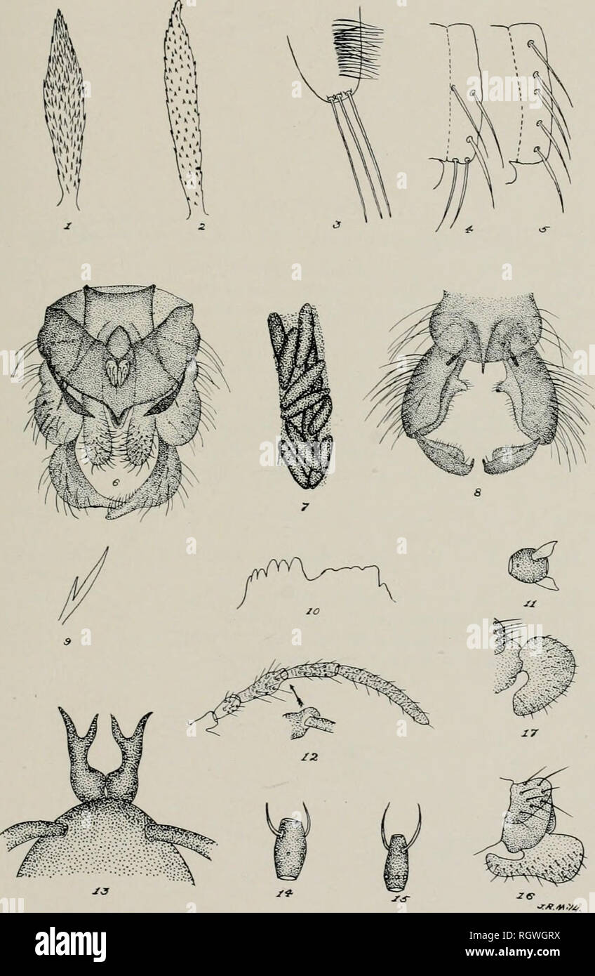 Bulletin. Natural history; Natural history. Plate XXXMI. Please ...