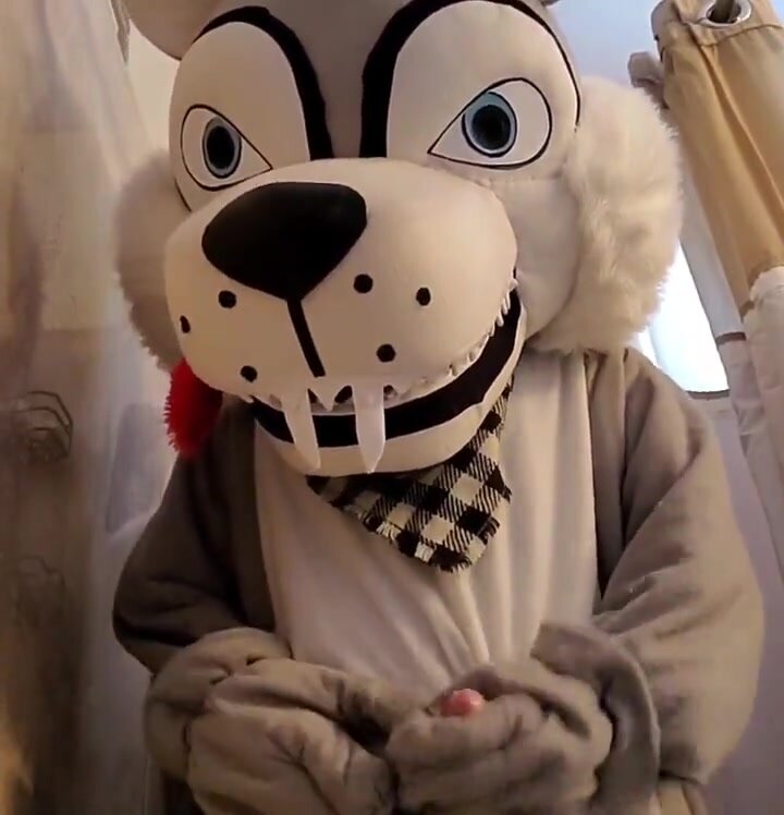 Wolf Mascot costume (NOT MINE) - ThisVid.com