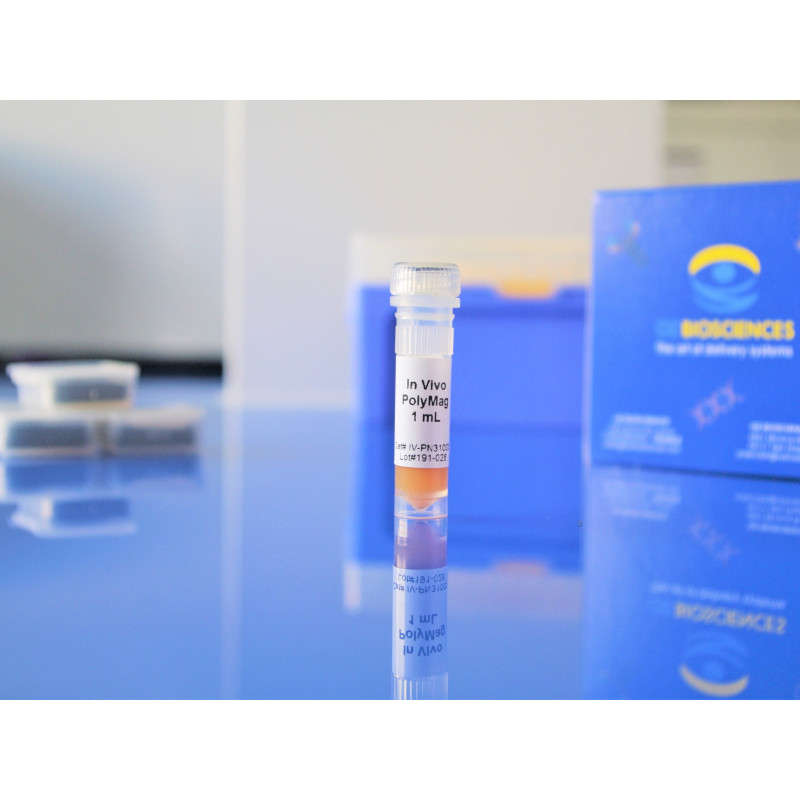 In vivo PolyMag - Transfection Reagent - OZ Biosciences