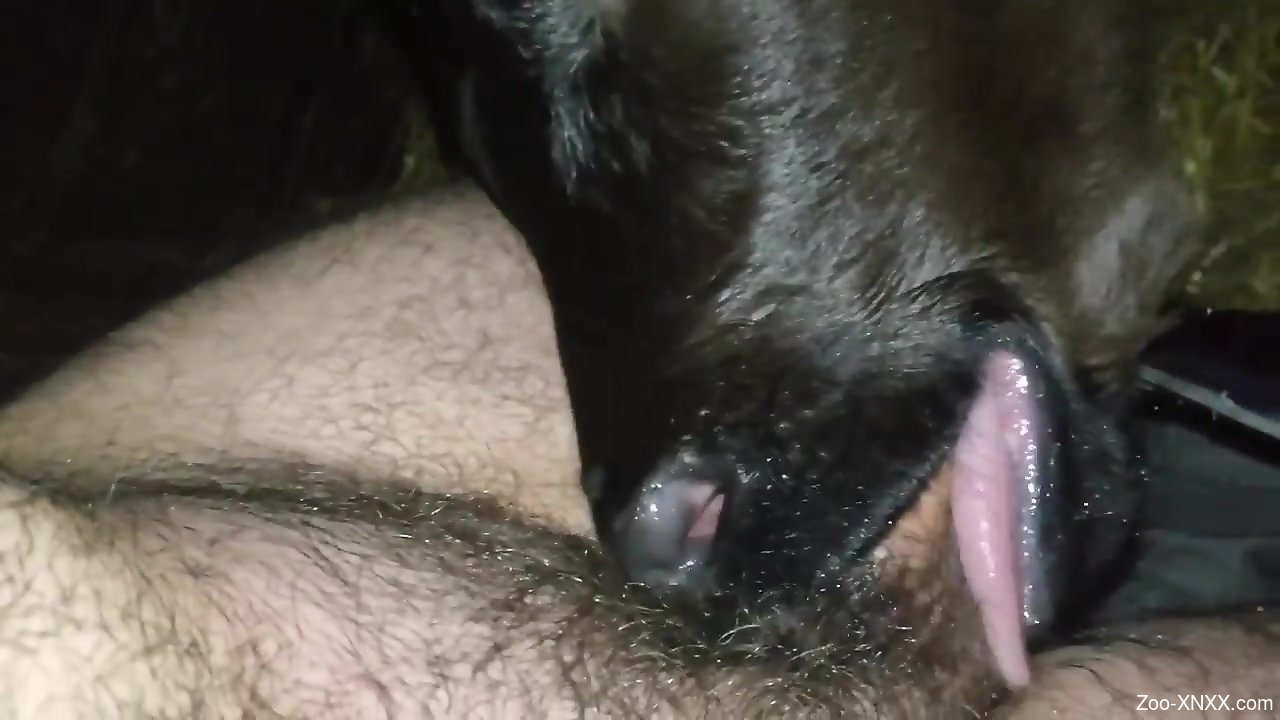 Dude's hard cock is deepthroated by a sexy beast