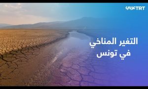 الجفاف يضرب تونس للعام الثالث على التوالي - YouTube