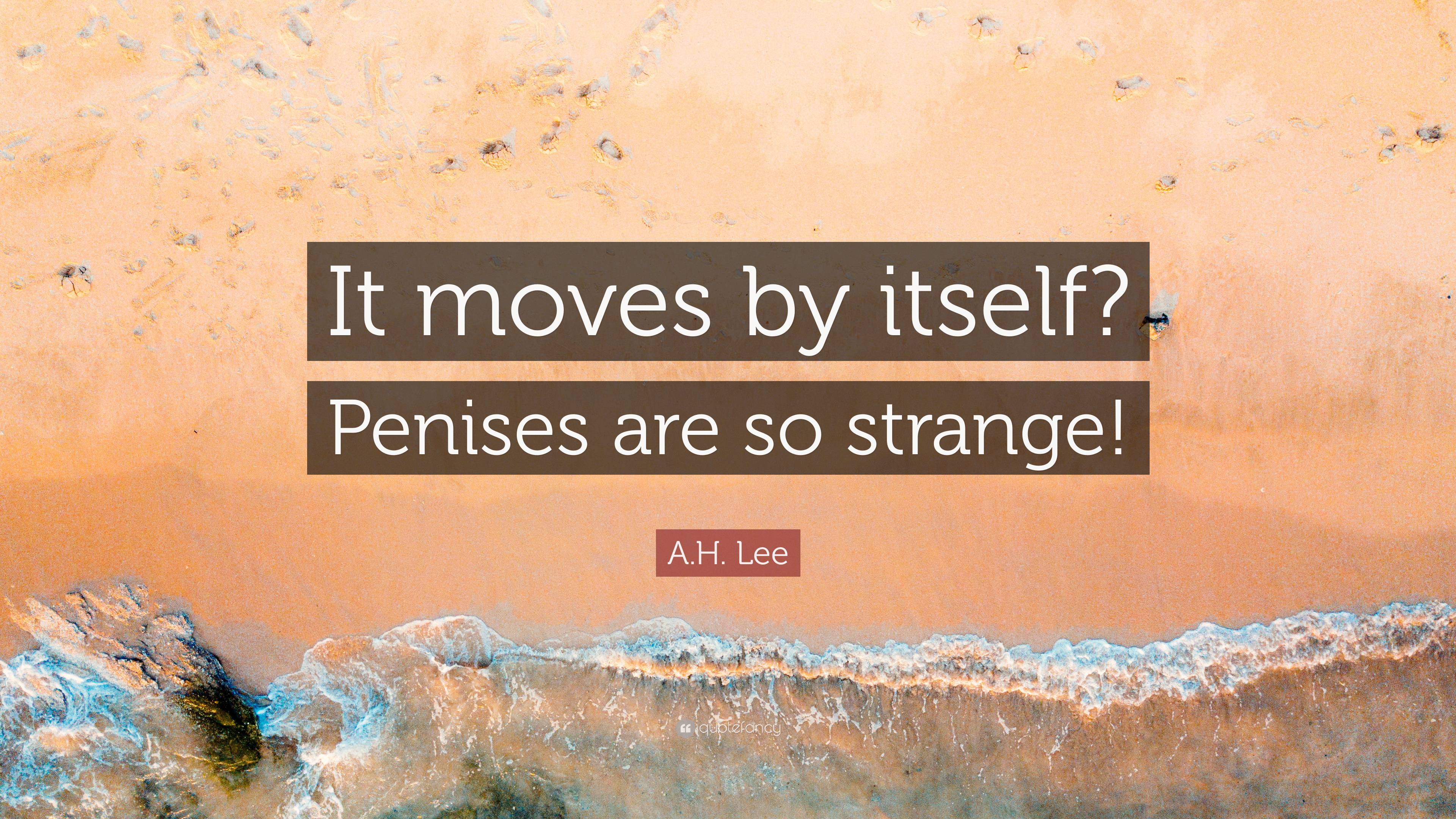 A.H. Lee Quote: “It moves by itself? Penises are so strange!”