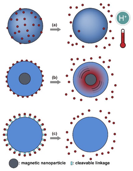 Nanomaterials | Free Full-Text | Nanoplatforms for Targeted ...