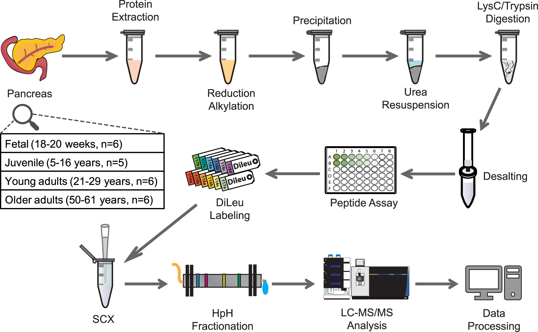 Proteome-wide and matrisome-specific alterations during human ...