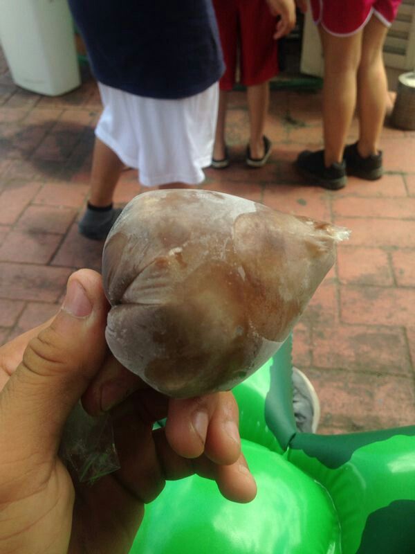 Limbers de Tetitas de Cielo en la Plaza de Recreo de Comerio, P.R. ...