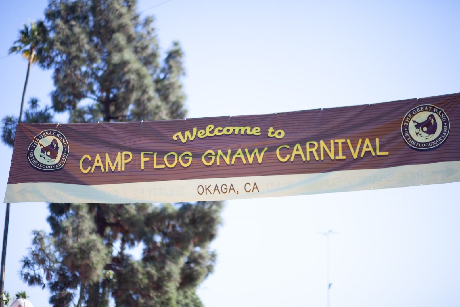 WHRB :: Sun, Sneakers, and Solange: Camp Flog Gnaw Day 1