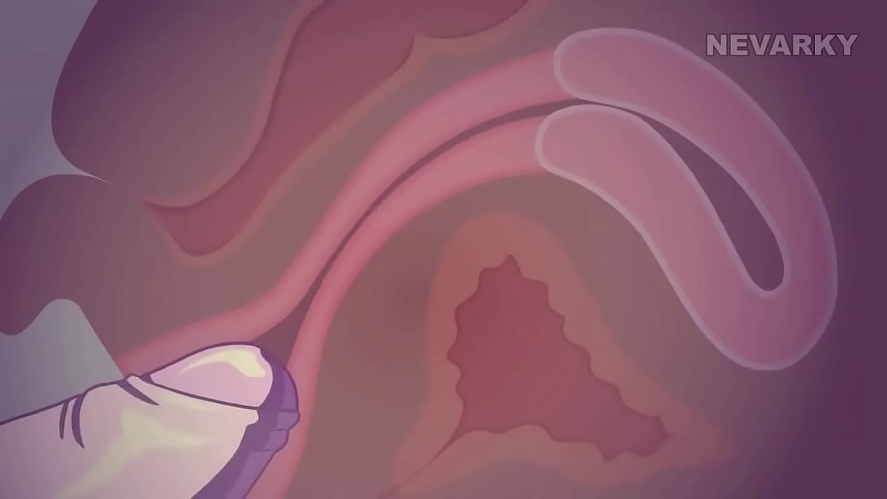 Hentai by Nevarky (2D Sex Animation) - XNXX.COM