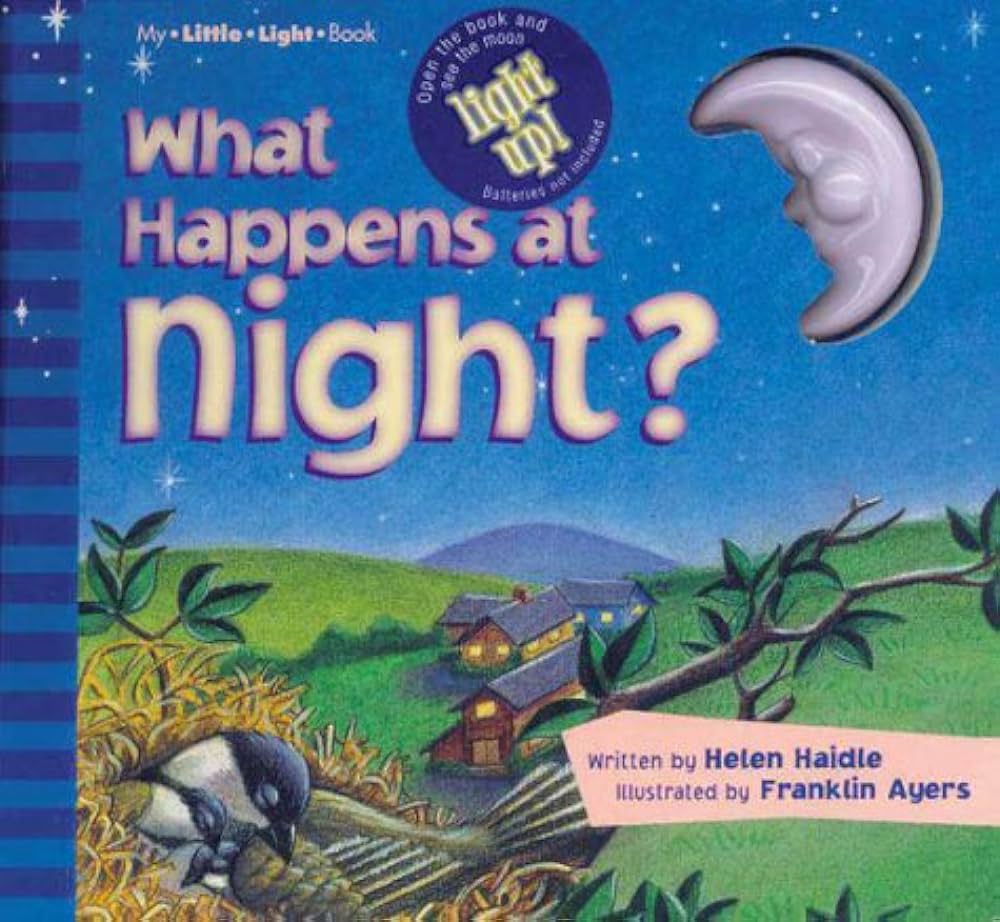 What Happens at Night: My Little Light Book: Haidle, Helen, Ayers ...