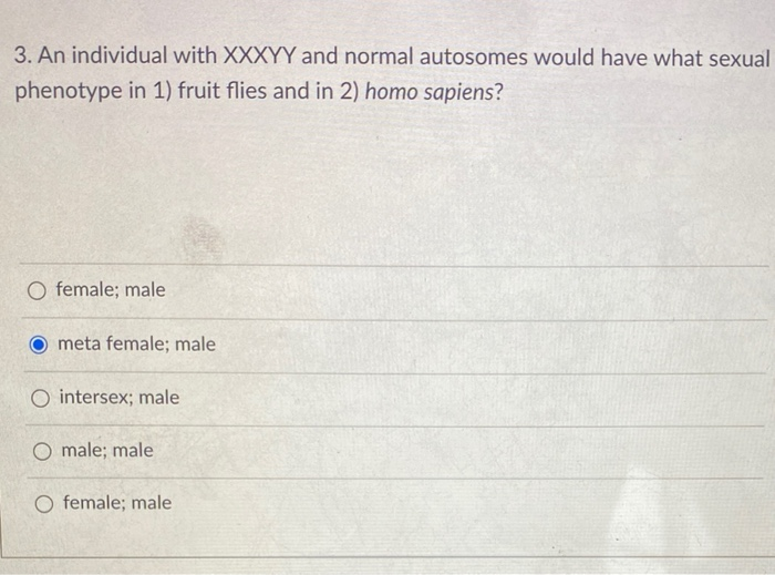 Solved 3. An individual with XXXYY and normal autosomes | Chegg.com