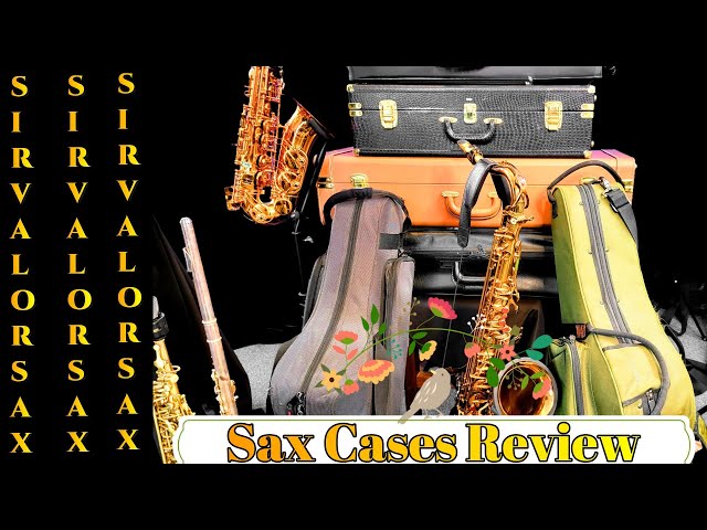 Sax Cases Review - YouTube