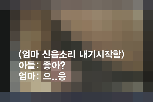 포모스 국산근친 본거 같아요 ㅠㅠ.JPG