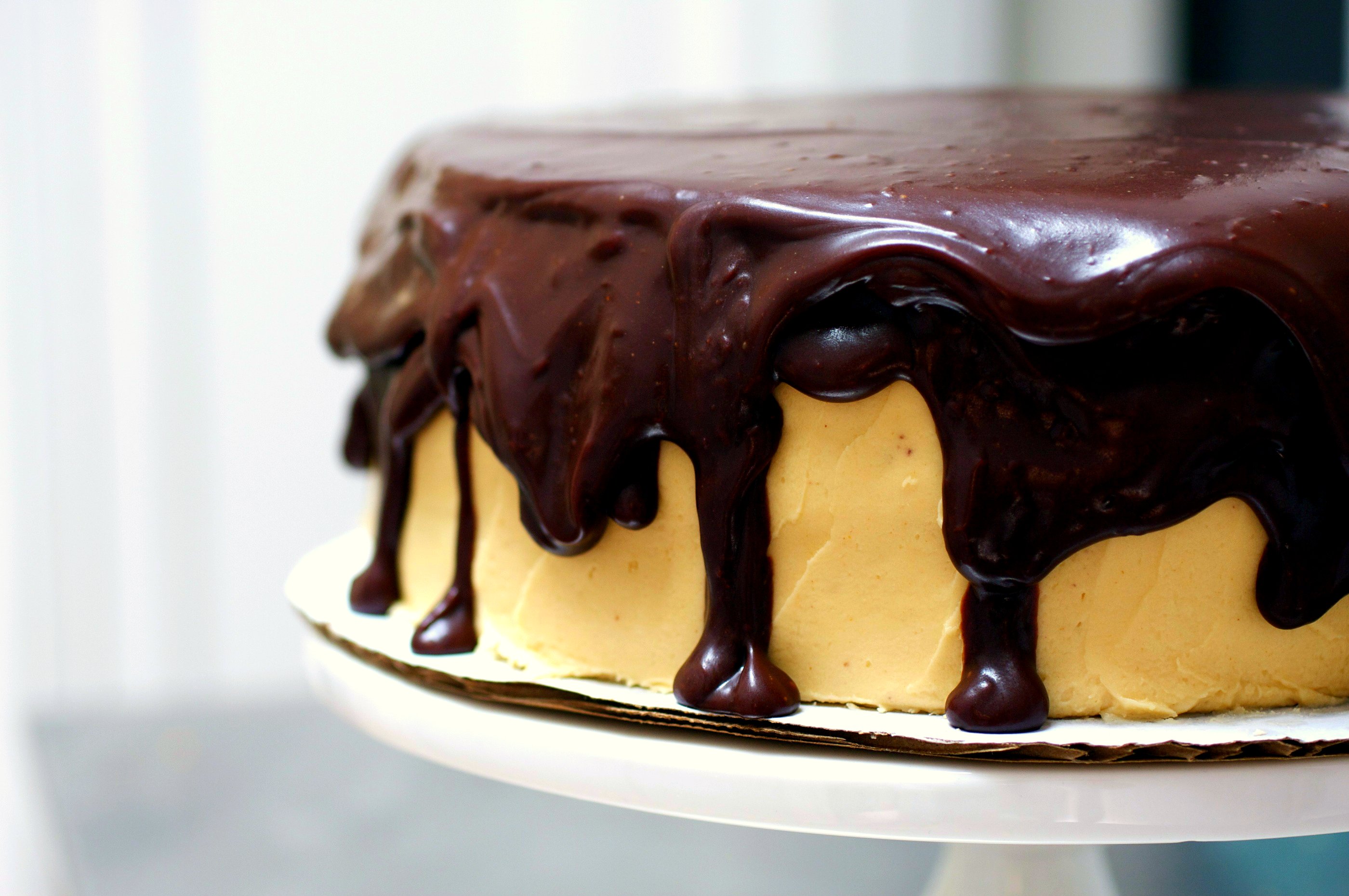 chocolate peanut butter cake – smitten kitchen