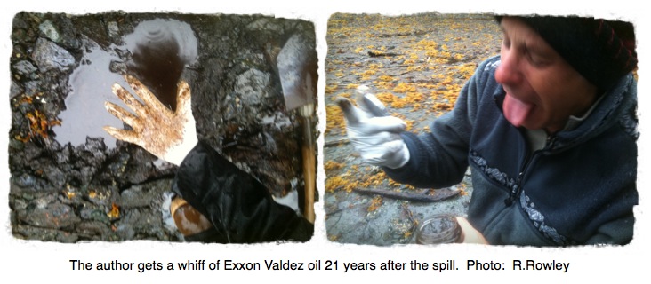 BP, not Exxon, caused the Exxon Valdez disaster - Greg Palast