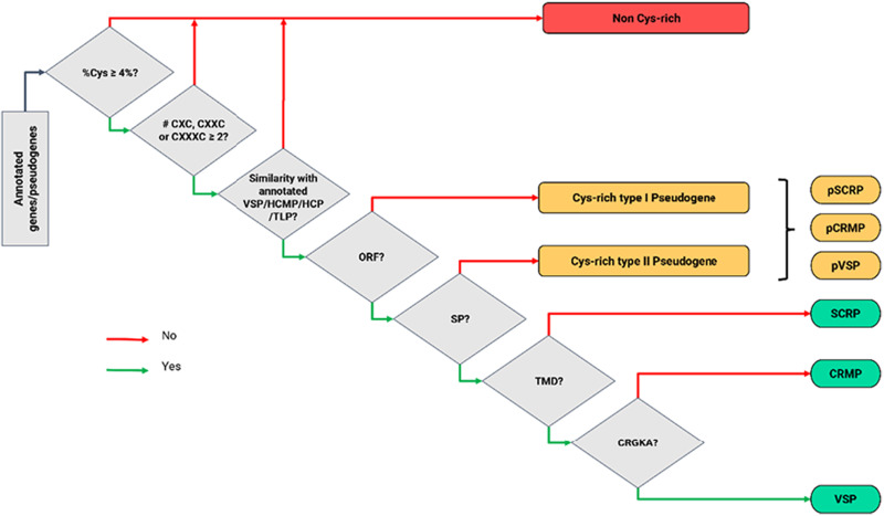 Comprehensive characterization of Cysteine-rich protein-coding ...