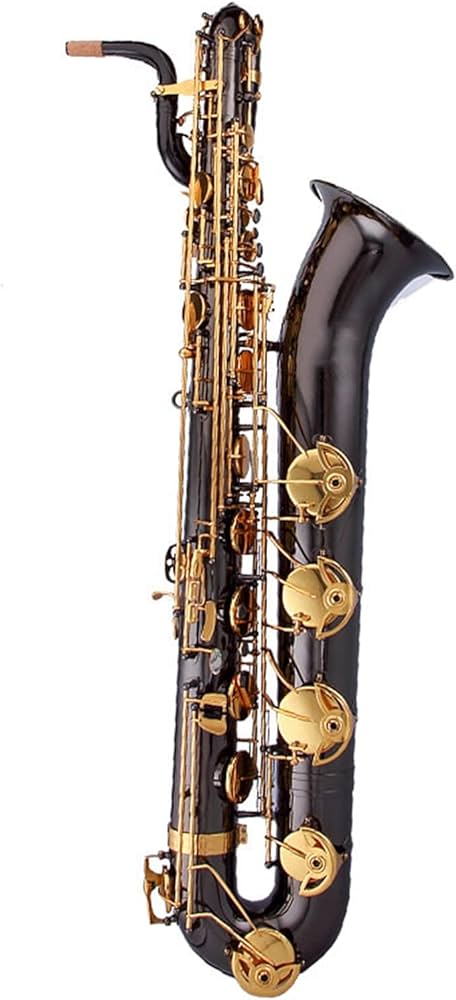 Amazon.com - Sax Instruments Baritone E Flat Saxophone Brass Black ...