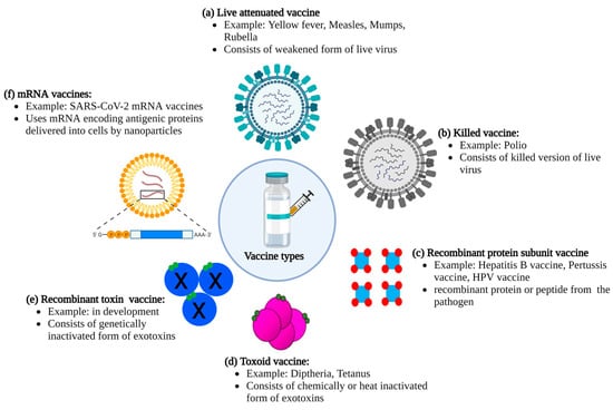 Toxins | Free Full-Text | Recent Developments in Vaccine Design ...