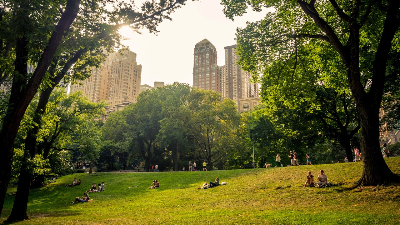 You'll Feel Better if You Go Outside | The New Yorker