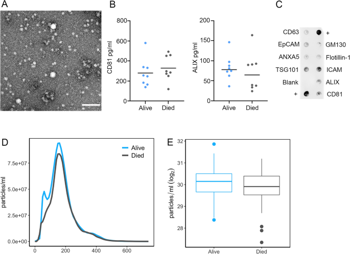 Association of extracellular vesicle inflammatory proteins and ...