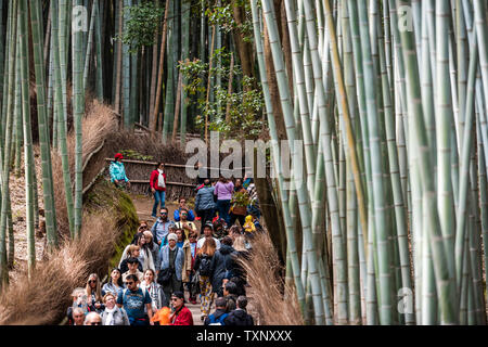 Kyoto, Japan - April 11, 2019: Arashiyama bamboo forest park ...