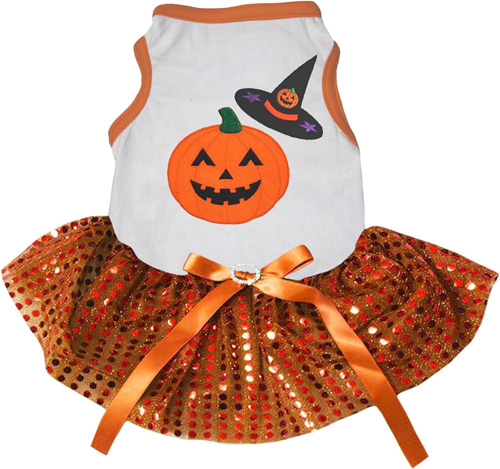 Amazon.com : Petitebella Pumpkin Witch Puppy Dog Dress (White ...