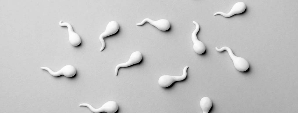 What Happens If We Release Sperm Daily? Proven Facts vs. Myths