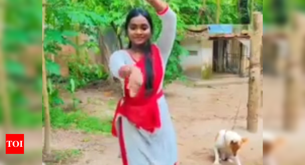 Viral video shows a dog cheering girl's dance moves - Times of India