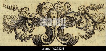 Politum hi-res stock photography and images - Alamy