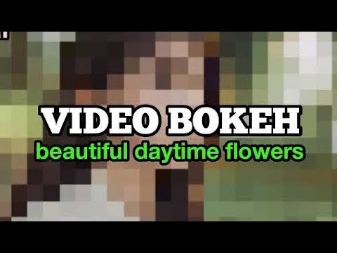 VIDEO BOKEH Hd beautiful evening view - YouTube