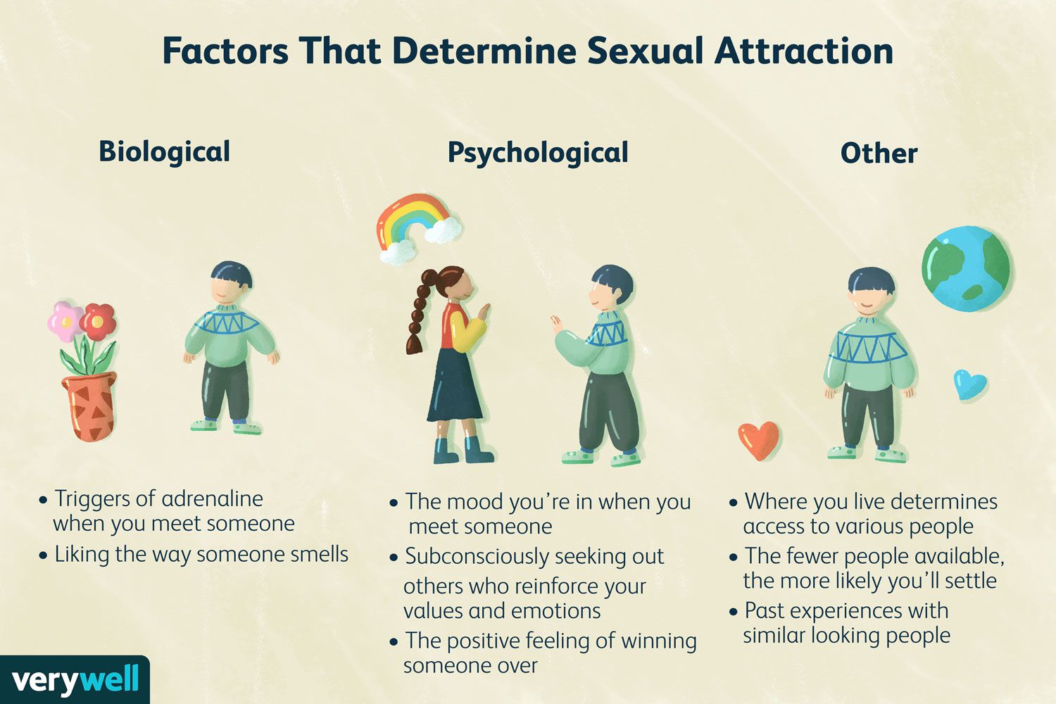 What Determines Sexual Attraction?